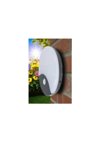 20W Palermo Sıvaüstü LED Armatürü Sensörlü (4000K) CT-7092