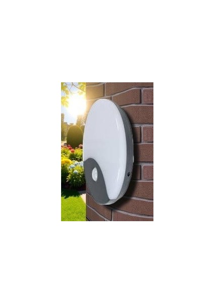 20W Palermo Sıvaüstü LED Armatürü Sensörlü (4000K) CT-7092