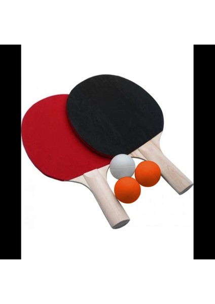 Masa Tenisi Pinpon Raket Seti (5047)