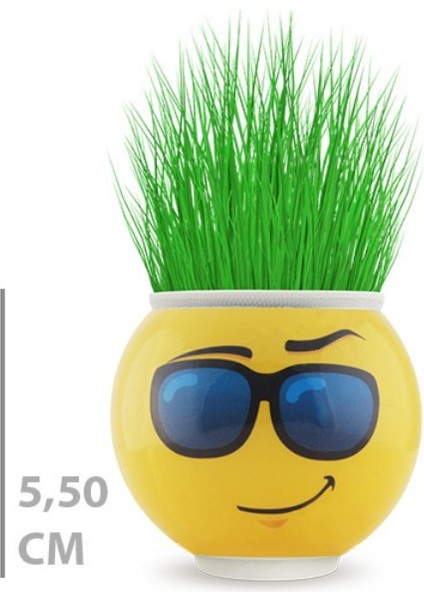 Çim Adam Saksı Emoji Figürlü 1 Adet