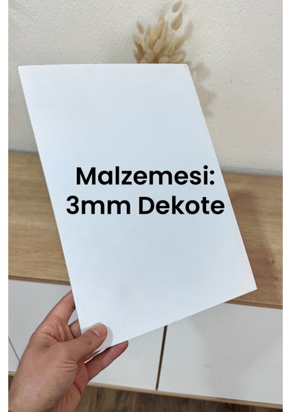 Otopark Sadece Elektrikli Araç Elektrikli Araç Şarj Park Etmeyiniz Levhası Sac Malzeme indirimleri