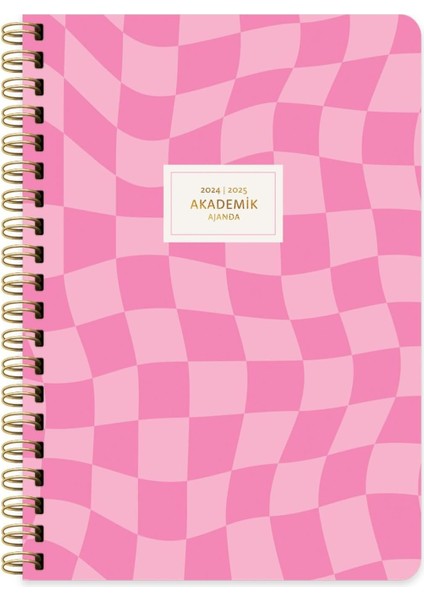 Color 17 * 24 Spiralli Akademik Ajanda - Dama