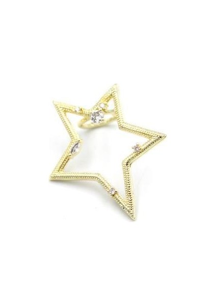 Yıldız Kıkırdak Küpe - Altın fiyatları