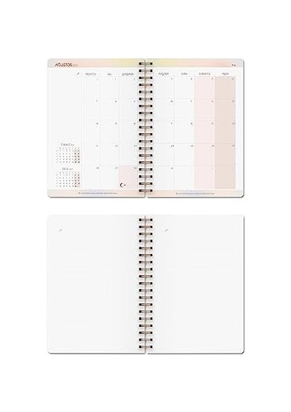 Color 17 Aylık Akademik Ajanda 17X24 Spiralli 23/24 Stickerlı Rose Gold fiyatları
