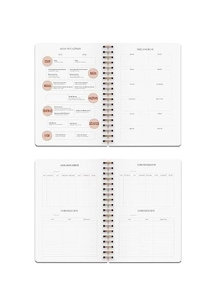 Color 17 Aylık Akademik Ajanda 17X24 Spiralli 23/24 Stickerlı Rose Gold modelleri