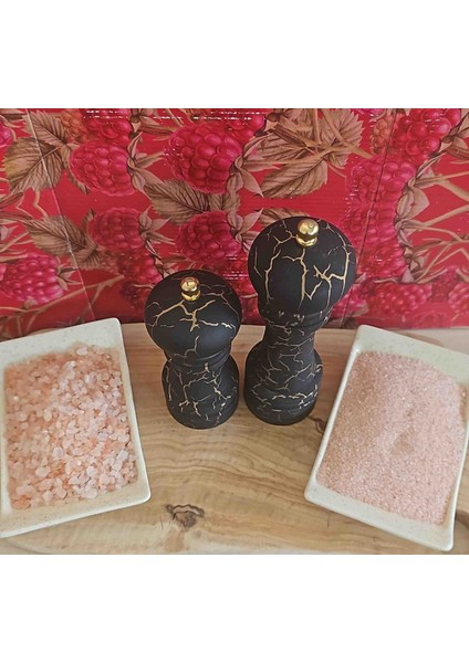 Tuz&baharat Öğütücü Mermer Desen Siyah Set fırsatları