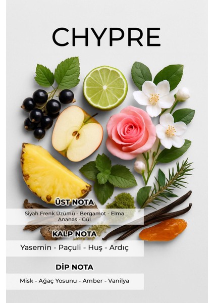 Dynamic 65 ml Erkek Parfüm indirimleri