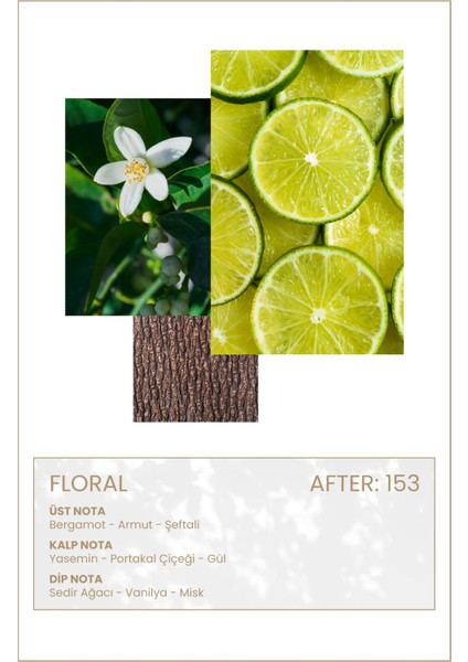 After 153 Edp 50ML Kadın Parfüm modelleri