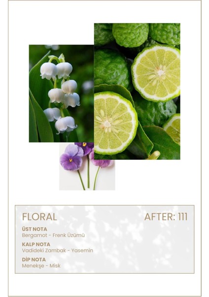 After 111 Edp 50ML Kadın Parfüm modelleri
