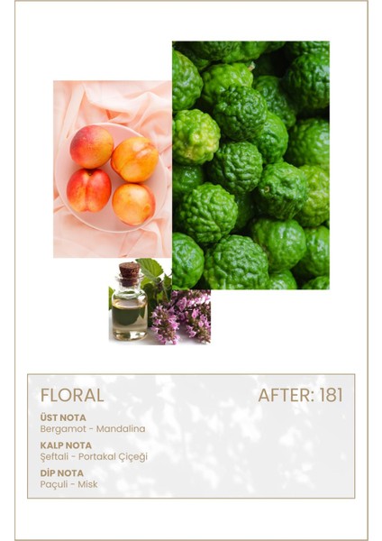 After 181 Edp 50ML Kadın Parfüm modelleri