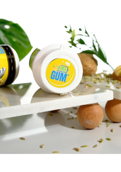 Way- Zencefil, Rezene Ekstraktlı, Tıbbi Nane Katkılı Dolgulu Sakız