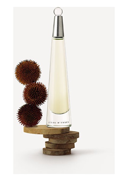 L'eau D'ıssey Edt 100 ml Kadın Parfüm