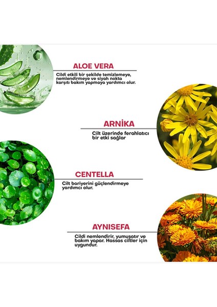 Aloe ve Arnica Sos Sprey 200 ml indirimleri