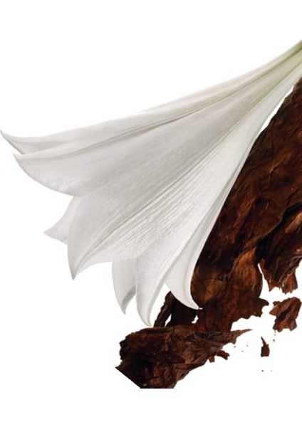 Mon Paris Edp 50 ml Kadın Parfüm modelleri