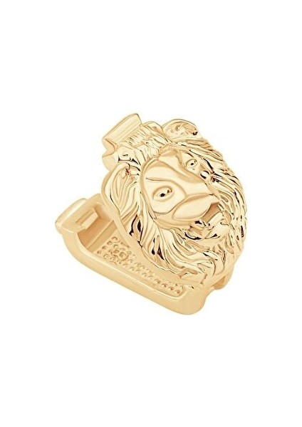Altın Aslan Bileklik Charm fiyatları