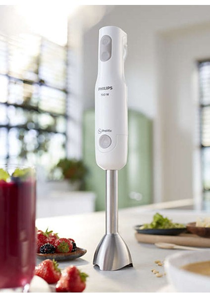 HR2546/00 Daily Collection Promix El Blender fiyatları