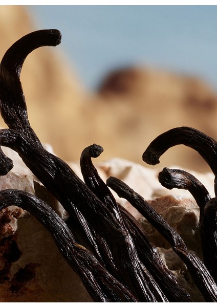 Q By Dolce&gabbana Parfum 50ML indirimleri