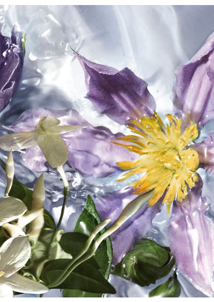 Aqua Allegoria Flora Salvaggiaedt 75 ml Kadın Parfüm modelleri