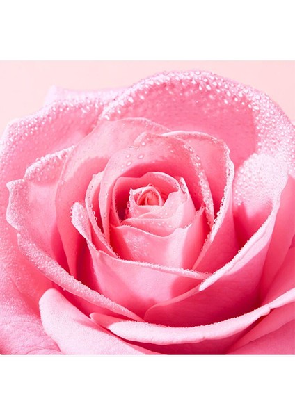 Very Rose Ferahlatan Yüz Temizleme Jeli 150 ml modelleri