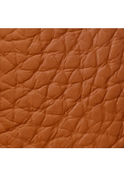 Rouge G 24 Lıps Case Le Camel fırsatları