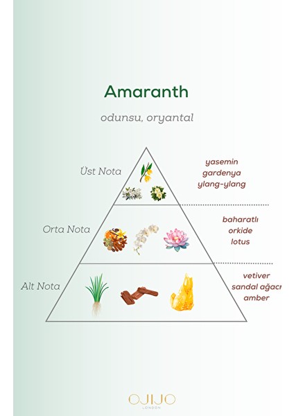 Amaranth Edp Erkek Parfüm 50ML | Odunsu ve Oryantal | Gardenya, Ylang Ylang, Lotus, Vetiver, Amber