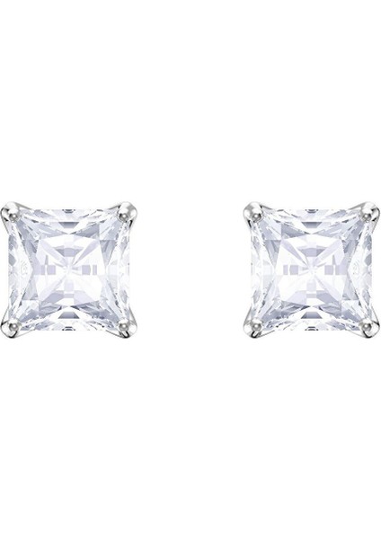 5430365 Swarovski Küpe Attract:pe Stud Czwh/rhs