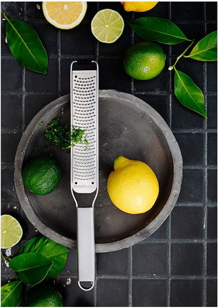 Professional Zester modelleri