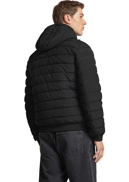 Siyah Erkek Kapüşon Yaka Regular Fit Mont PM403026-999 Tomek fırsatları