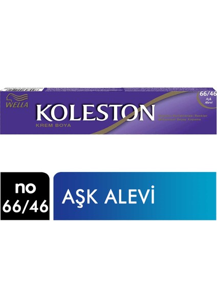 Koleston Tüp Boya 66/46 Aşk Alevi