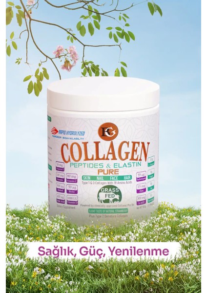 Collagen Peptides & Elastin – Pure Collasel