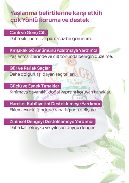 Collagen Peptides & Elastin – Pure Collasel
