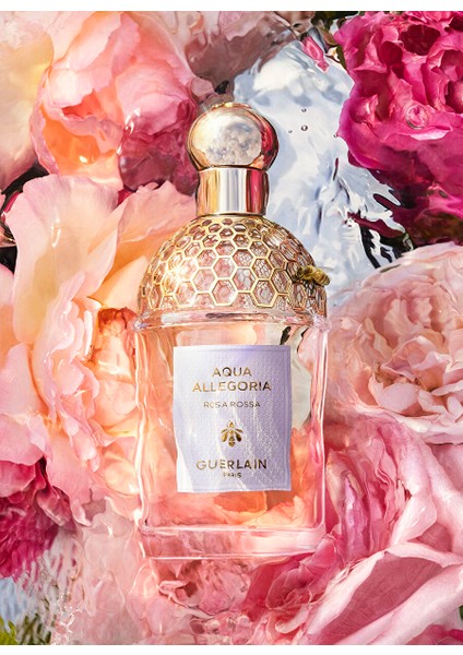 Aqua Allegoria Rosa Rossa Edt 75 ml Kadın Parfüm modelleri