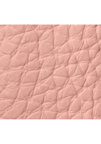 Rouge G 24 Lıps Case Le Nude fırsatları