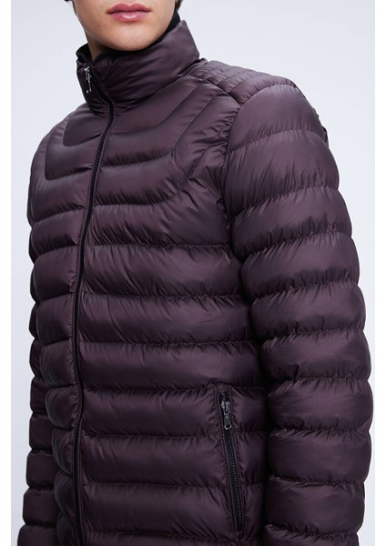 Bordo Regular Fit Hakim Yaka Şişme Mont modelleri
