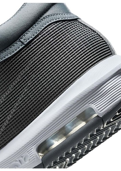 Siyah - Gri Erkek Basketbol Ayakkabısı FB2239-004 Lebron Wıtness Vııı