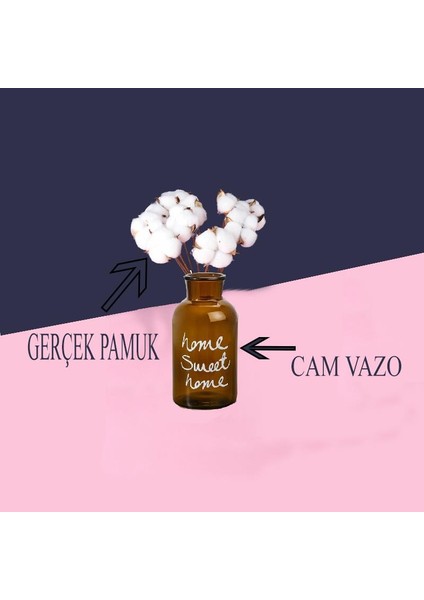 Cam Vazolu Pamuk Çiçek Dekor Amber Renk Gerçek Pamuk Kozalı fiyatları