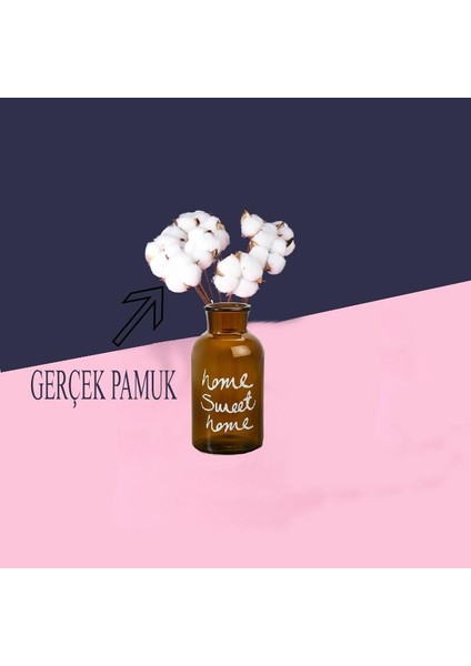 Cam Vazolu Pamuk Çiçek Dekor Amber Renk Gerçek Pamuk Kozalı modelleri