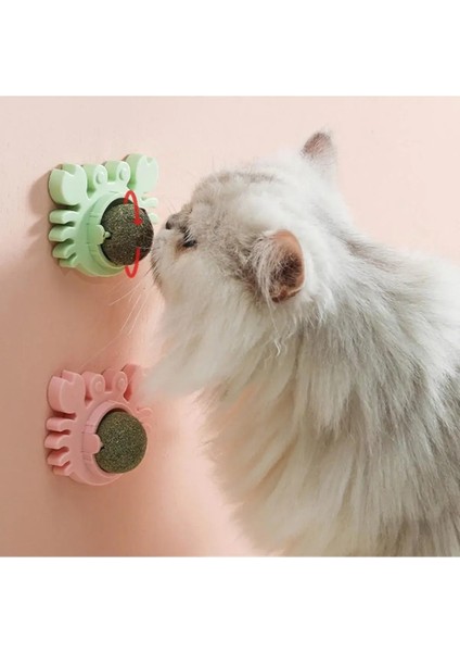 Yengeç Kedi Otu Oyun Topu fiyatları