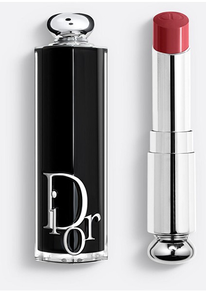 Addict 463 Dior Ribbon