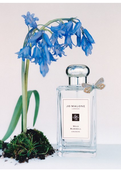 Wild Bluebell Cologne 100ML fiyatları