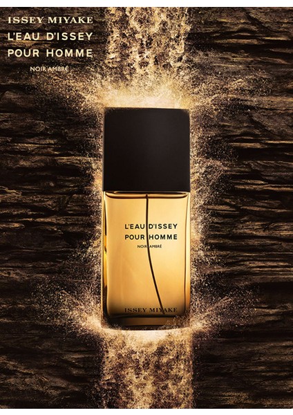 Pour Homme Noir Ambre Edp 100ML modelleri
