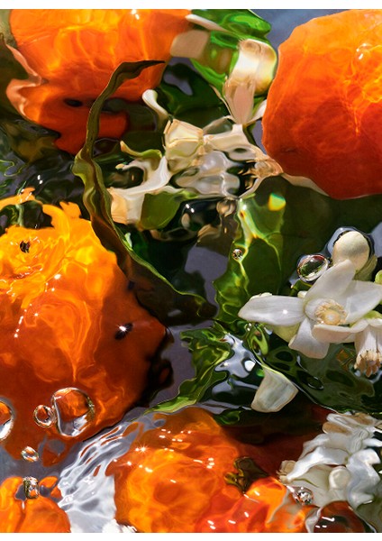 Aqua Allegoria Mandarine Basilic Edt 75 ml Kadın Parfüm fırsatları
