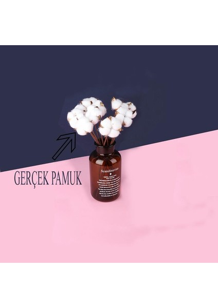 Cam Vazolu Pamuk Çiçek Dekor Amber Renk Gerçek Pamuk Kozalı Scandinavian fiyatları