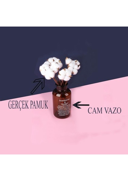 Cam Vazolu Pamuk Çiçek Dekor Amber Renk Gerçek Pamuk Kozalı Scandinavian modelleri