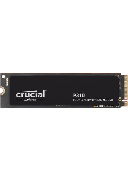 P310 1tb Pcıe Gen4 Nvme M.2 SSD CT1000P310SSD8 (7100-6000 Mbs)