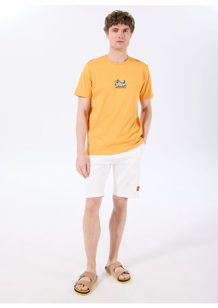 Turuncu Erkek Bisiklet Yaka Relaxed Fit Baskılı T-Shirt D4SM-TST3258 fiyatları