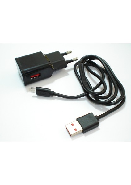 Nostaljikcep Nokia Lumia 1320 1520 Ev ve USB Şarj Cihazı , 2 In 1