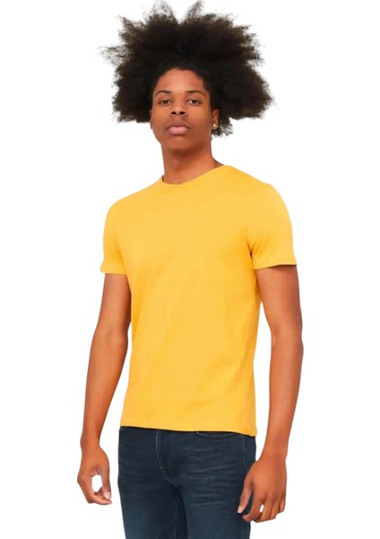 Bisiklet Yaka Erkek T-Shirt 24YCEEO04618 fiyatları