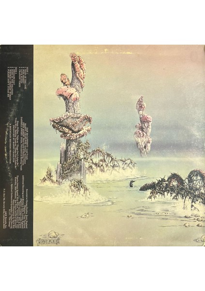 Nazareth Hair Of The Dog Lp Plak