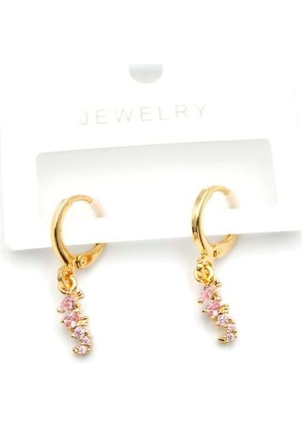 Renkli Deniz Atı Küpe, Şık ve Parlak Takı Hediye Seçeneği fiyatları